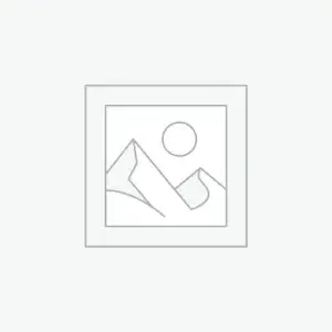 Uncategorized